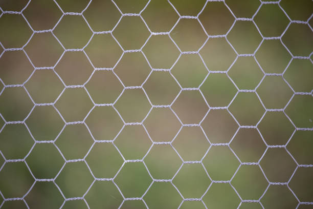 istock Chicken wire fence lightly coloured against a dark green background 1279323963