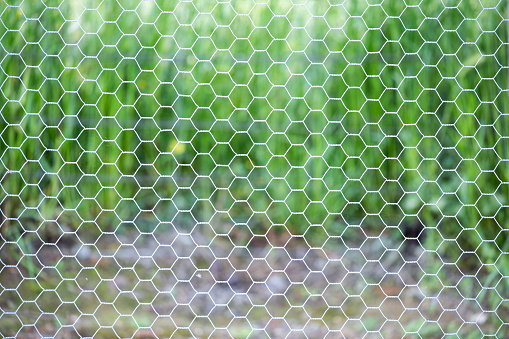 A sharp shot of chicken wire against a vibrant background in a country setting