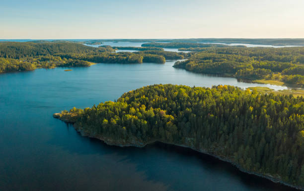 vista aérea del bosque verde en las islas en el lago ladoga. otoño, karelia, rusia. - skerries fotografías e imágenes de stock