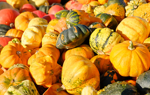 Different types of pumpkins at a farmers market