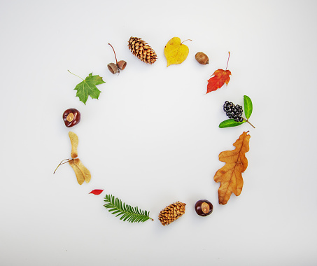 Autumn leaf and nut wreath with copy space and white background. Perfectly usable for all autumn related subjects.