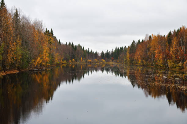 istock Autumn scenery. Karelia, Russia 1279334509