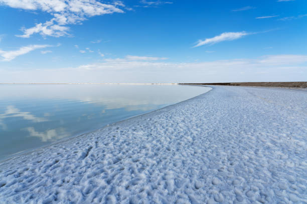 istock The saline lake beach, natural lake background. 1279334784