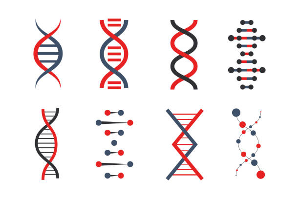satz von dna-symbolen. unterschiedliche form und form menschlichen helix genetischen code. biologiekonzept. laborzeichen. - dna helix spiral color image stock-grafiken, -clipart, -cartoons und -symbole