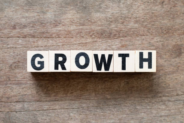 istock Letter block in word growth on wood background 1279337730