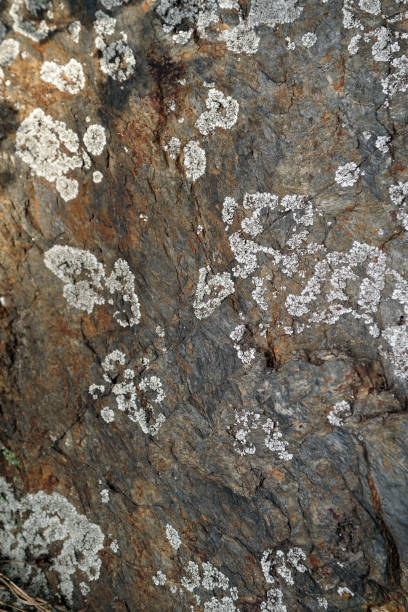 istock Cross section of rock 1279339104