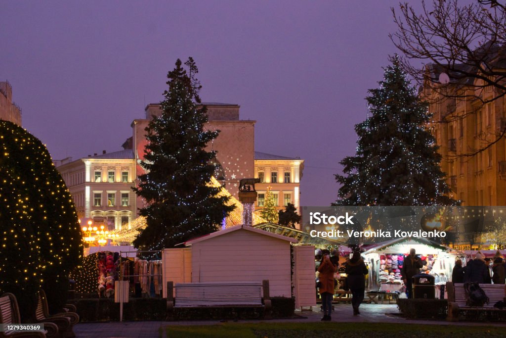Festive night city lights on Advent fair holiday Christmas illumination in Timisoara Advent Stock Photo