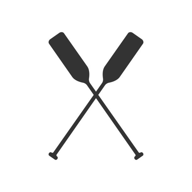 весла - rowing rowboat sport rowing oar stock illustrations