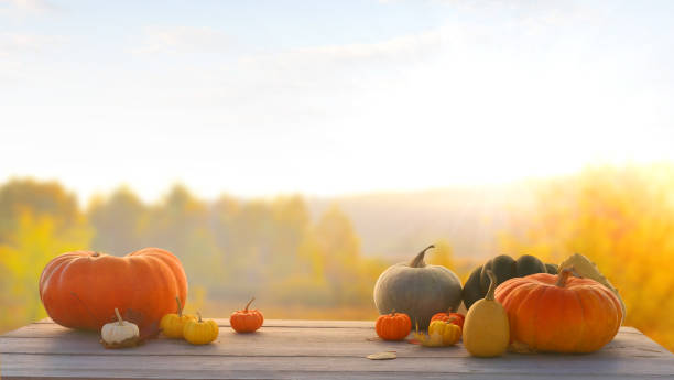 istock Autumn background with maple leaves and pumpkins.Harvest or Thanksgiving background 1279342449