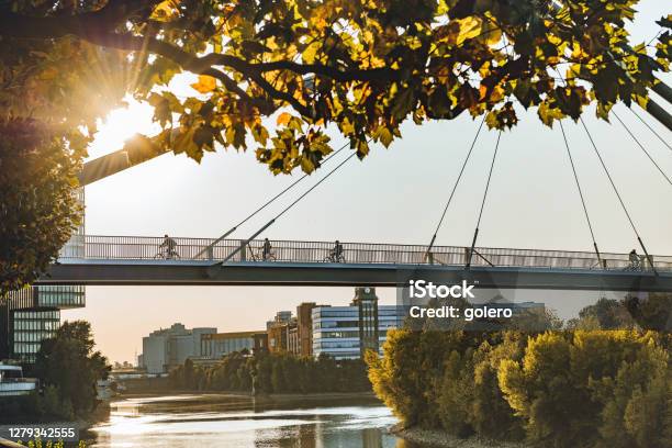 Silhouettes On Bridge Over Rhine River In Düsseldorf In Early Fall Season Stock Photo - Download Image Now