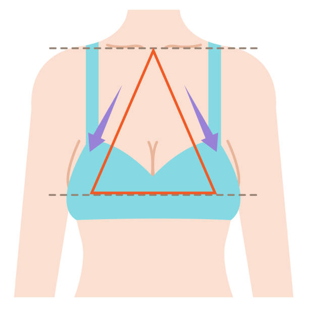 drooping breast shape is isosceles triangle connecting three points from center of clavicle to top boobs.  Beauty and body care concept illustration sagging breast shape is isosceles triangle connecting three points from center of clavicle to top boobs.  Beauty and body care concept illustration isosceles triangle stock illustrations