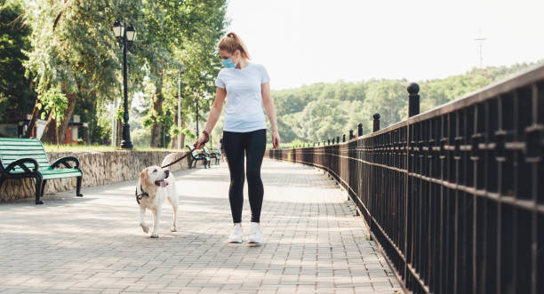 blonde woman and her dog walking in the park while wearing a medical mask on face during the coronavirus - dog walking retriever golden retriever imagens e fotografias de stock