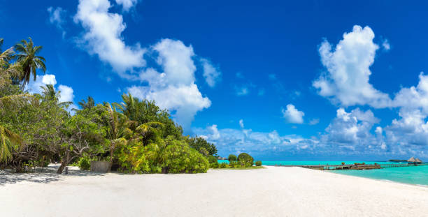istock Tropical beach in the Maldives 1279347557