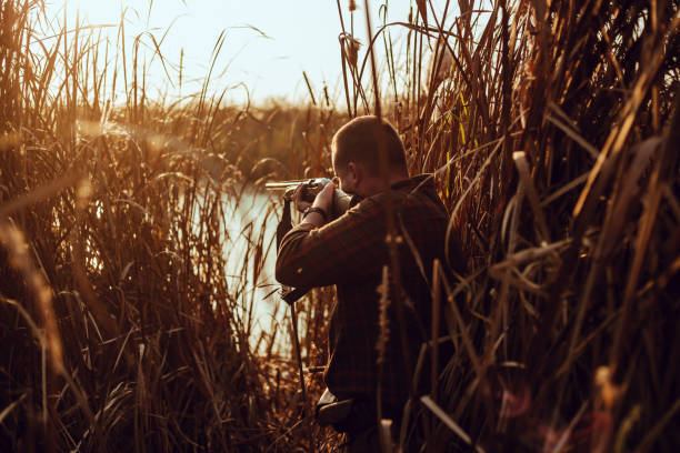 jeune homme de chasseur avec un fusil de chasse se cachant dans les roseaux près de l’étang, à la chasse de canard - photo avec l’accent sélectif - oiseau aquatique photos et images de collection