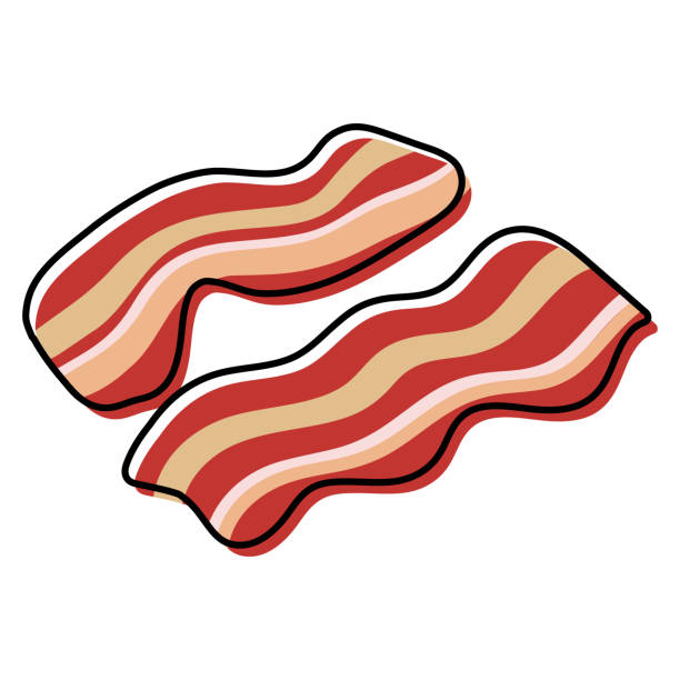 Two slices of wavy bacon on white background. Cartoony bacon strips roasted. Simplified, outline color filled vector illustration, isolated Roasted pork meat. Simple clipart drawing of bacon pieces bacon illustrations stock illustrations