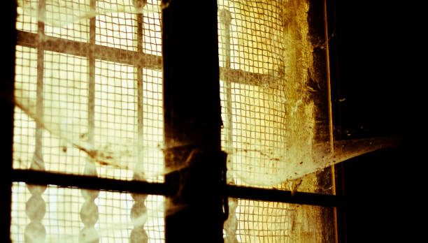 istock cobwebs have long covered the window 1279352044