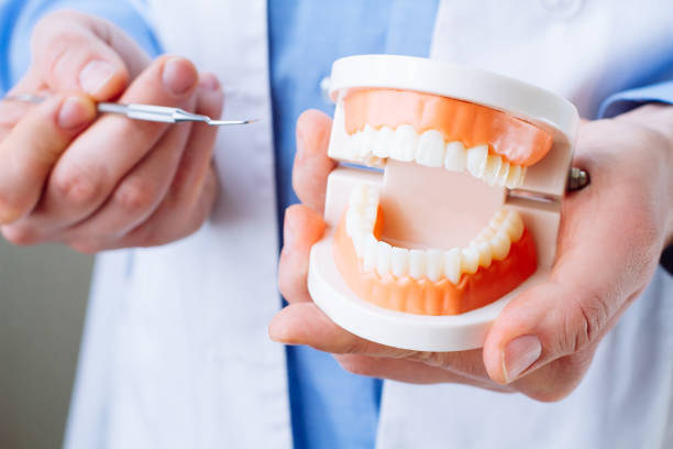 istock Dentist showing jaw model and dentist tool  closeup. 1279352668