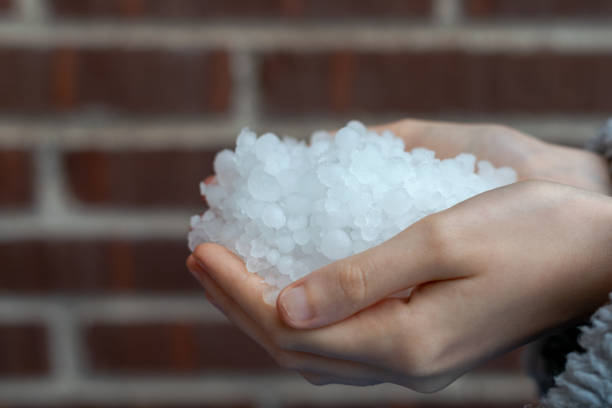 istock Young woman hands holding hailstones after a storm 1279352890