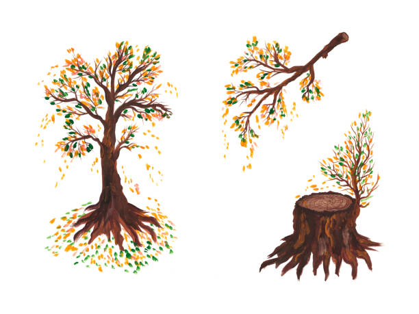 istock Watercolor illustration composition of a tree, stump and branches with falling autumn leaves. Isolated over white background. 1279355144