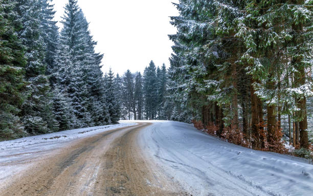 istock Winter road in the forest 1279355314