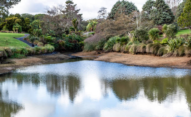 vistas a un paseo por los jardines. jardín botánico, auckland, nueva zelanda - auckland region fotografías e imágenes de stock