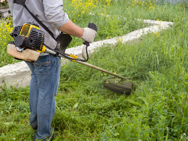 istock A man mows the thick tall grass with a gasoline trimmer. The lawn mower's work 1279358154