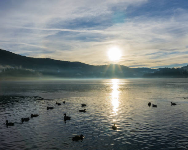istock Lake Titisee Black Forest Germany in Winter 1279359644