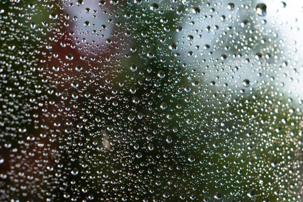 istock Rain water droplets on window macro close up shot colored blurred background 1279359792