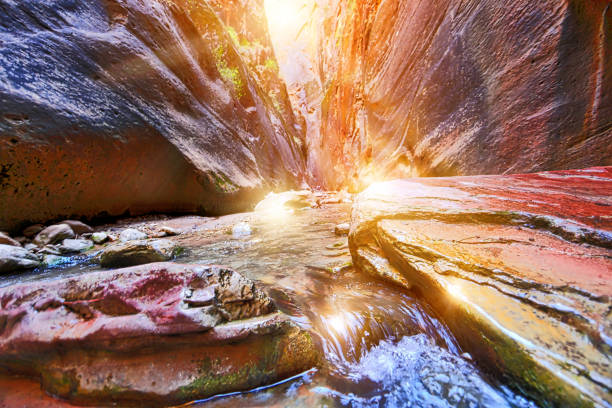 zion narrows. zion-nationalpark - zion narrows stock-fotos und bilder