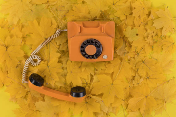 istock vintage telephone, autumn yellow maple leaves background 1279361045