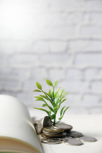 istock Close up of young plan growing through coins. 1279362487