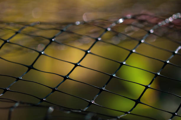 Close-up of a fence with shallow depth of field.