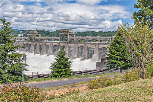 This  dam involves two states, it crosses the Columbia River with Washington State on the North side and Oregon State on the South side, The Bonneville Dam is a multi- purpose dam and has superior visitor viewing opportunities.