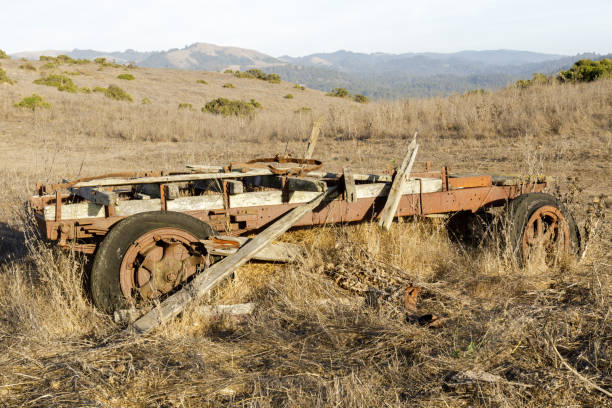 La Honda Creek Open Space Preserve, San Mateo County, California, USA.