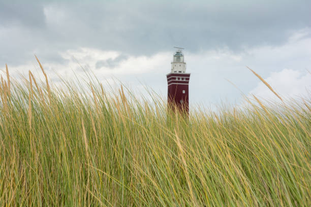 istock High Beach grass with lighthouse Westhoofd in Ouddorp in the Netherlands 1279367104