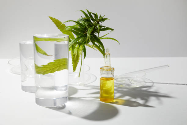 istock Cbd htc canabbis oil in laboratory. Concept of medicine. 1279367377