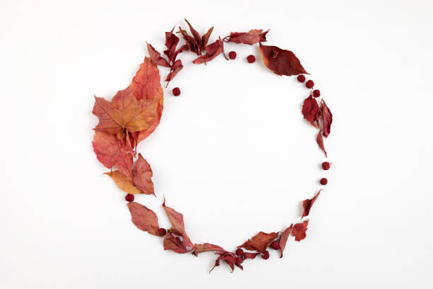 istock Autumn composition. Round frame from dried leaves on white background. Top view. Flat lay. 1279368603
