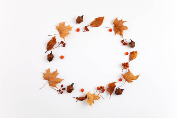 istock Autumn composition. Round frame from dried leaves on white background. Top view. Flat lay. 1279368627