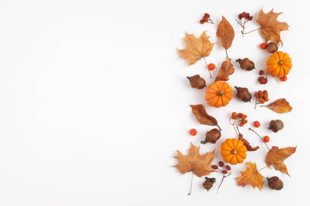 istock Autumn composition. Dried leaves and pompkins on white background. Top view. Flat lay. 1279368816