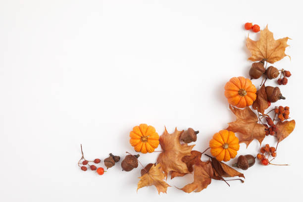 istock Autumn composition. Dried leaves and pompkins on white background. Top view. Flat lay. 1279368835