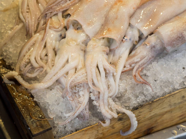 istock fresh squids (Loligo vulgaris)  on ice for sale at a fish market 1279371043