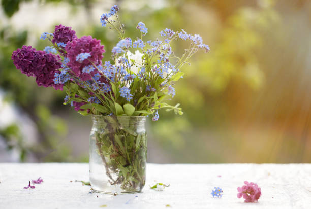 fond de printemps ou d’été. un bouquet de fleurs lumineuses dans un bocal en verre allumé par la lumière du soleil. belles fleurs sur un fond vert. - flower pot vase purple decor photos et images de collection