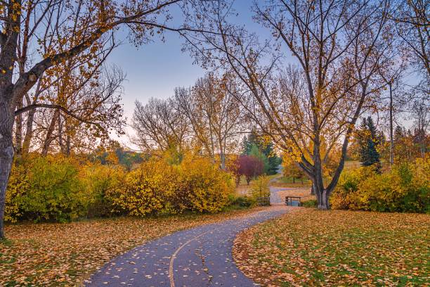 istock Pathway Through A Colorful Autumn Park 1279372605