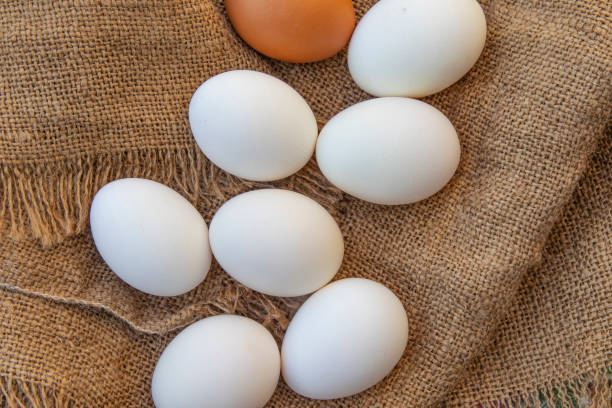 istock Chicken eggs on a coarse cannabis cloth. Close-up. Selective focus. View from above. 1279374366