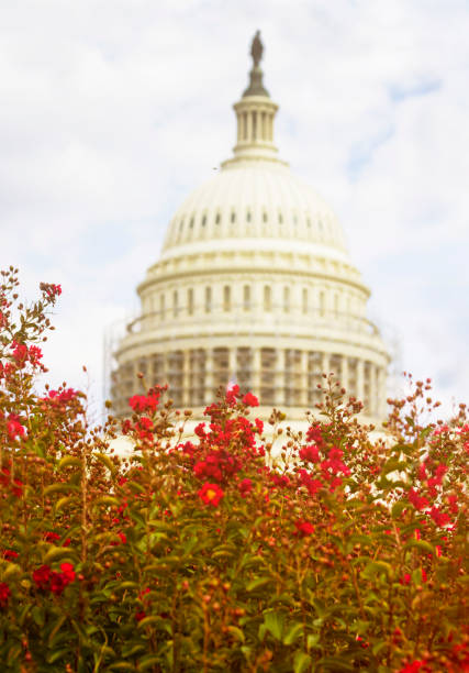 istock US Capital Building In Autumn 1279375999