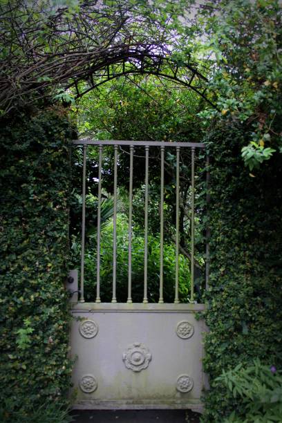 istock a garden gate surrounded by vines 1279381766