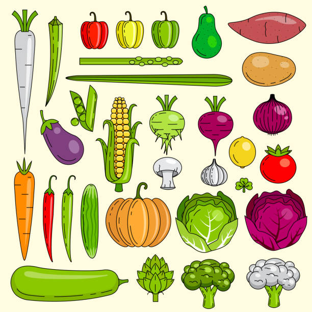 здоровые свежие овощи, веганский, индийский смешанный, - red potato raw potato market red stock illustrations