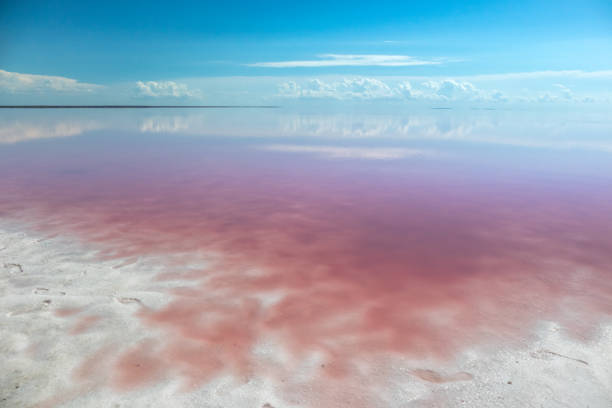 istock Pink lake with white salt and cloudy blue sky 1279383101
