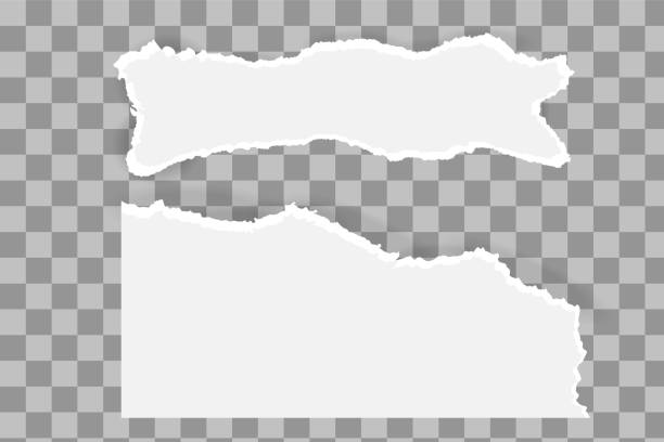 Set of torn note, notebook grainy paper strips stuck on grey background Set of torn note, notebook grainy paper strips stuck on grey background. Vector illustration papper torn stock illustrations