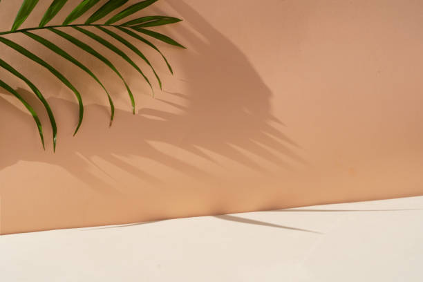 Minimal product display Minimal modern product display on textured beige background with palm shadows overlay makeup product photography stock pictures, royalty-free photos & images